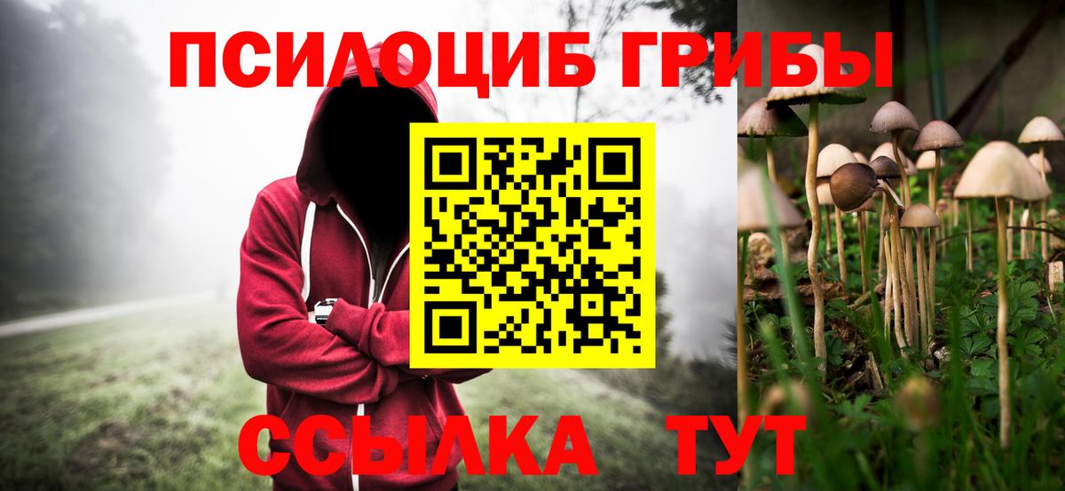 Кимры  Галлюциногенные грибы GOLDEN TEACHER  Вход с VPN  Галлюциногенные грибы Magic Shrooms 